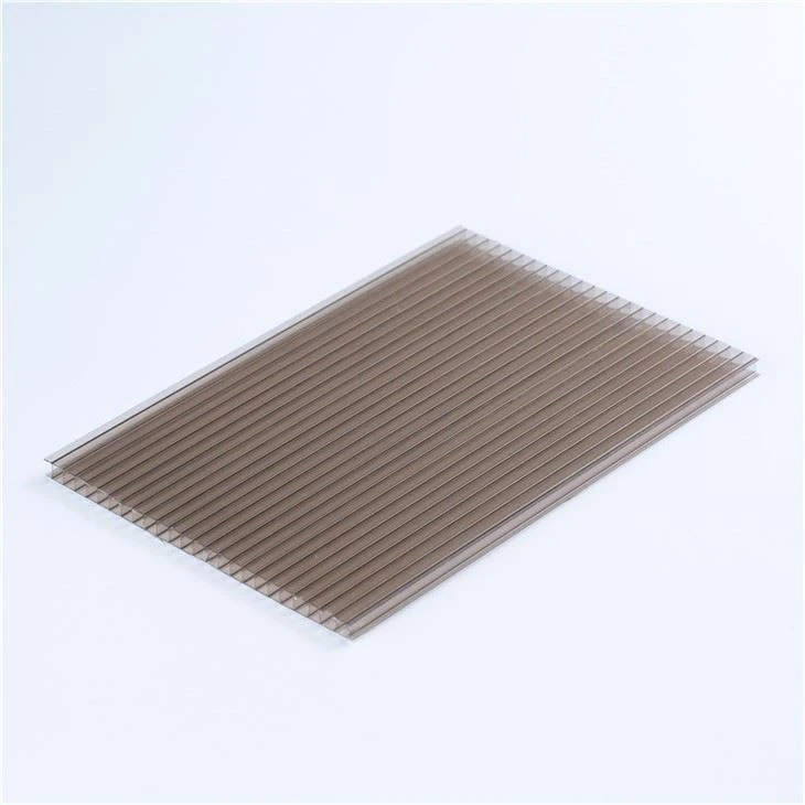 8mm Light color Twin Wall Polycarbonate Sheet